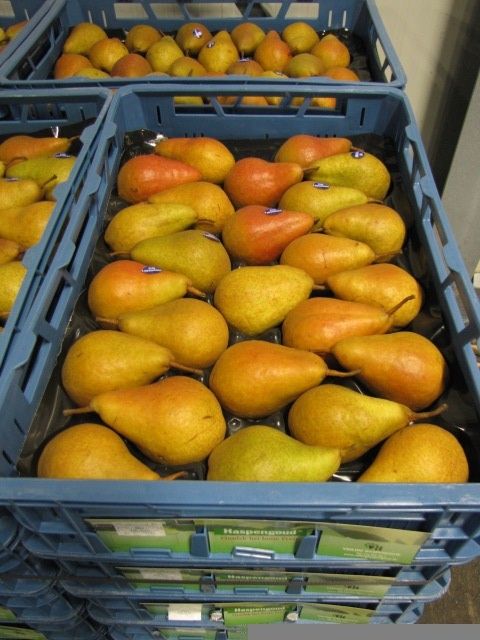 Prachtige mooi gekleurde Durondeau peren.