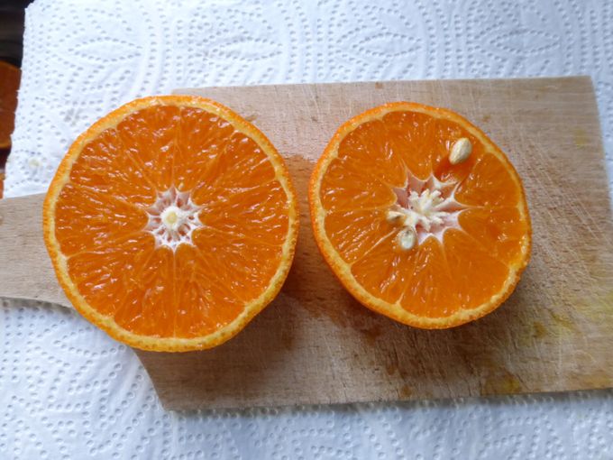 Doorsnede van de citrusvrucht ORTANIQUE. Deze vrucht bevat veel sap en af en toe ook nog wat pitten.