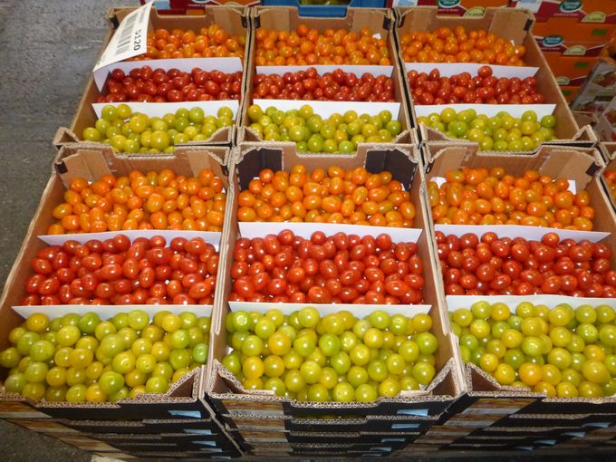 Op de markt komen meer en meer mini tomaten beschikbaar. 
Zorg dat u mee bent als winkelier / marktkramer.