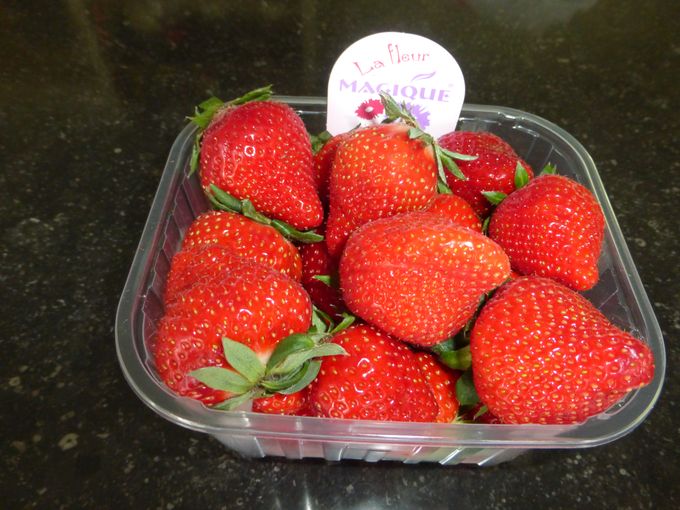 Mooie Belgische aardbeien vh merk Magique van leverancier Vandepoel uit Brussel. Wk23.1