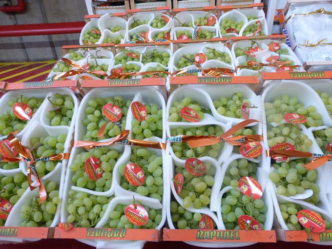 Vanaf half augustus beginnen de Italiaanse druiven toch wel een belangrijk artikel te worden om vanaf september met de Variëteit ITALIA het belangrijkste seizoensfruit te worden. Meer info zie rubriek druiven.