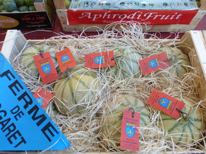 Echte en mooie CAVAILLON  meloenen uit volle grond.
Gezien bij invoerder Superfruit in Brussel.