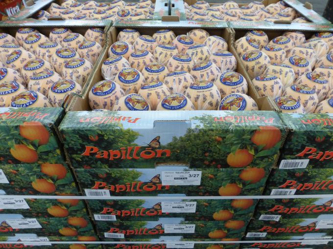 Knappe verpakking van Papillon voor de echte specialisten.
Alle appelsienen manueel verpakt ( pirelli) in een papiertje.