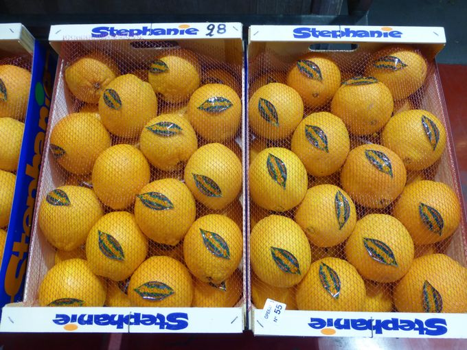 Appelsienen van de variëteit NAVELINA gezien bij invoerder De Roeck te Brussel.
