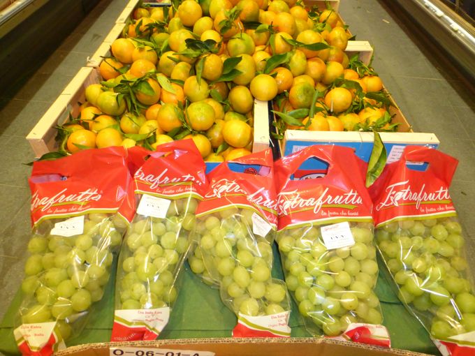 Verpakking voor Italiaanse druiven. Grote puntzak voor een grote druiventros. Dit artikel is wel een kwaliteitsartikel.Voor het eerst opgemerkt in België in 2014 bij invoerder Amoroso te Brussel.