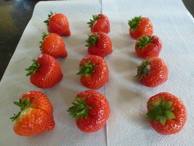 Kwaliteitsaardbeien . Zeker gelijkmatige kwaliteit. 12 stuks in 500gr.
Dit is wat we noemen: dikke aardbeien.