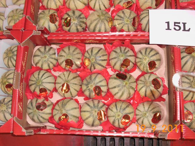 Franse Charentais meloen 15 stuks per kist.
Invoerder Central fruit Brussel.