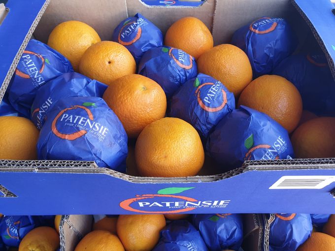 In de zomer komen de mooie en lekkere appelsienen uit Zuid-Afrika. Het merk Patensie wordt ingevoerd door invoerder De Roeck in Brussel. Patrensie is ook een kwaliteitsmerk voor citrus uit Zuid-Afrika.