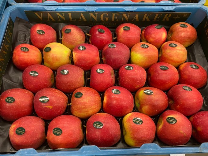 Ja de  Jonagold blijft met  40% van het verbruik de voorkeur van de Belgische klant. De Belgische Jonagold appel is lekker, gezond en voordelig. Producent  Vanlangenaker is gekend voor zijn goede Belgische Jonagold.
