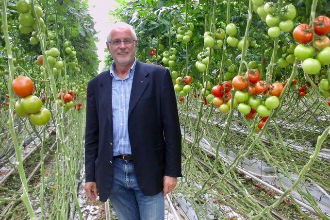 Tomaten zijn de TOP1 groenten in België. 
Dus zeker de moeite om er als winkelier en marktkramer 
12 maanden per jaar echt mee bezig te zijn. 
We hebben in België een ruime keuze aan kwaliteits tomaten. 
De Flandria  tomaten worden geproduceerd volgens strenge lastenboeken.  