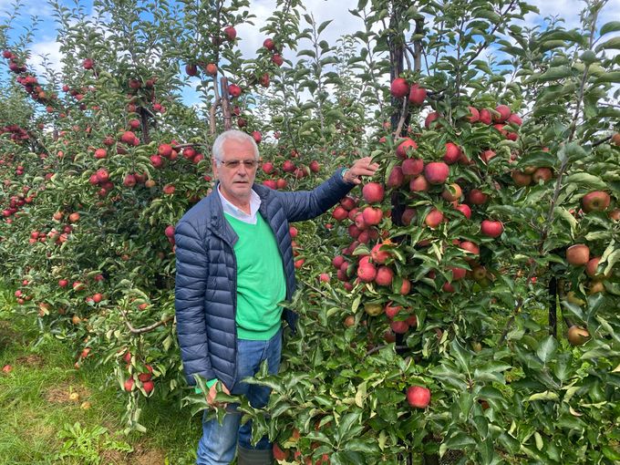 Wij gingen kijken naar de pluk van de appels en zijn overtuigd dat 2022 een goed fruitjaar is voor de appel. Hij is mooi van kleur en lekker van smaak. Geniet er dus ook van. 