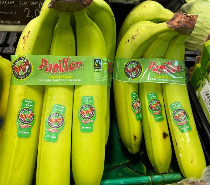 Nu ook mooie BIO Fairtrade bananen gezien van Papillon in België. .