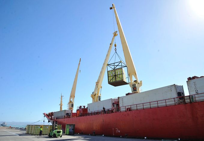 De kiwi's uit Nieuw-Zeeland komen per boot naar Europa. 
In België worden de containers gelost in de haven van Zeebrugge.
Ook in Zeebrugge beschikt Zespri over een verpakkingsstation waar de verschillende verpakkingen worden gemaakt voor de Belgische markt.