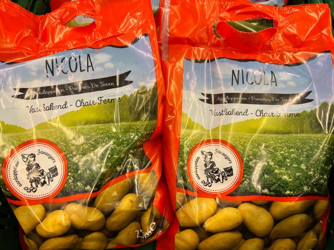 De Nicola is een vastkokende aardappel die in België bij de goede verkopers zit.
